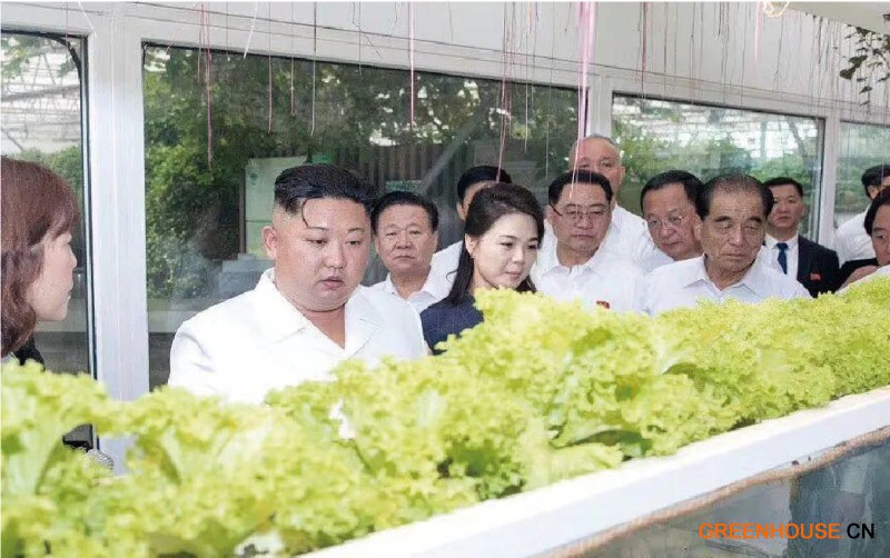 4.朝鮮最高領(lǐng)導(dǎo)人、朝鮮勞動(dòng)黨總書(shū)記金正恩到訪(fǎng)創(chuàng)新園