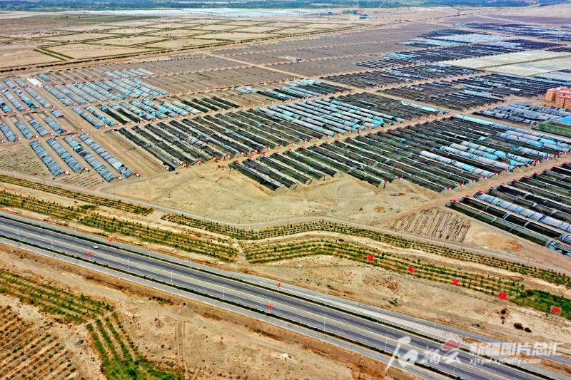 莎車縣戈壁產(chǎn)業(yè)園里，3000座溫室大棚成為荒灘上最具活力的地方。天山網(wǎng)-新疆日報記者 蔡增樂 攝
